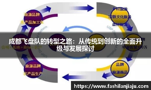 成都飞盘队的转型之路：从传统到创新的全面升级与发展探讨